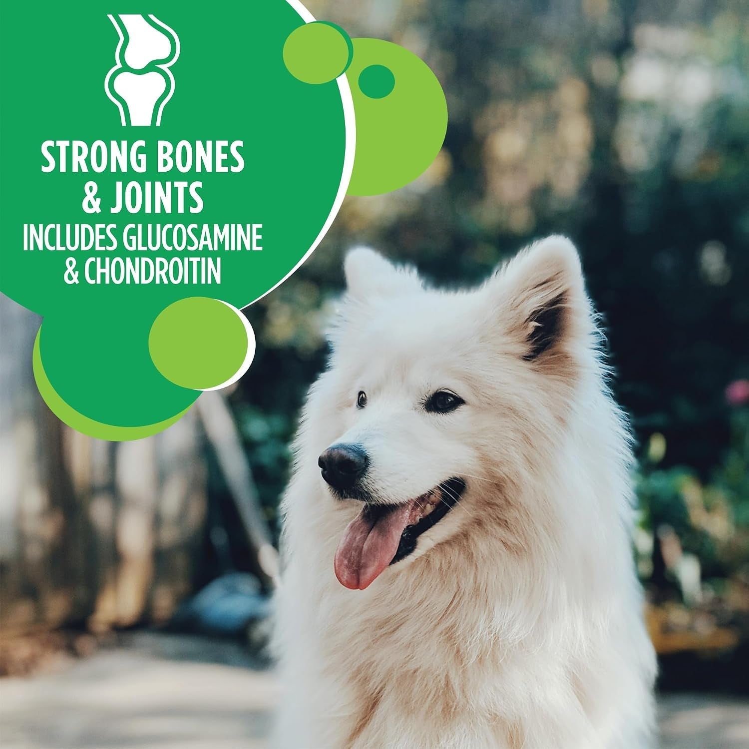 iams-proactive-health-large-breed-dry-dog-food-chicken-30-lb-veterinarian-recommended-real-chicken-1-ingredient-l-carnitine-for-metabolism-glucosamine-chondroitin-optimal-calcium