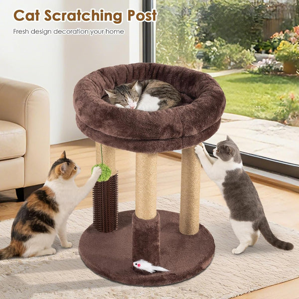 21” Tall Cat Scratching Post with Plush Cat Bed | Stable Cat Tree for Indoor Cats, Interactive Toy & Grooming Brush Included6