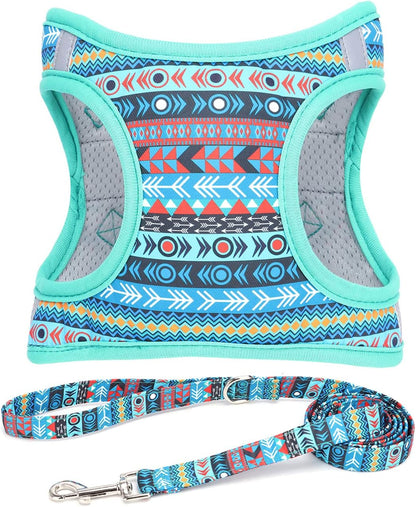 Step in Dog Harness Leash Set- All Weather Reflective No-Pull Floral Pattern Padded Mesh Vest Harness for Cats Puppy Extra-Small Small Medium Large Dogs - Pink Flower - S15