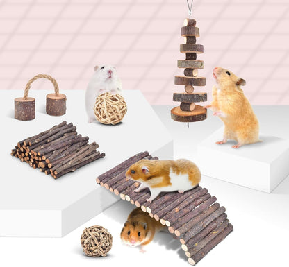ERKOON 11 Pack Chinchillas Chew Toys, Toys Accessories for Teeth Care, Natural Apple Wood Ladder Bell Roller for Russian Hamster Gerbils Rats Guinea Pigs (11PCS)5