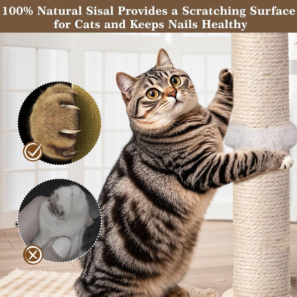 PAROTO Cat Scratching Post, Sisal Cat Tree Tower Scratcher for Indoor Cats Adults with Interactive Toys, Double Ball Track, 2 Mounting Methods, 25 Inches7