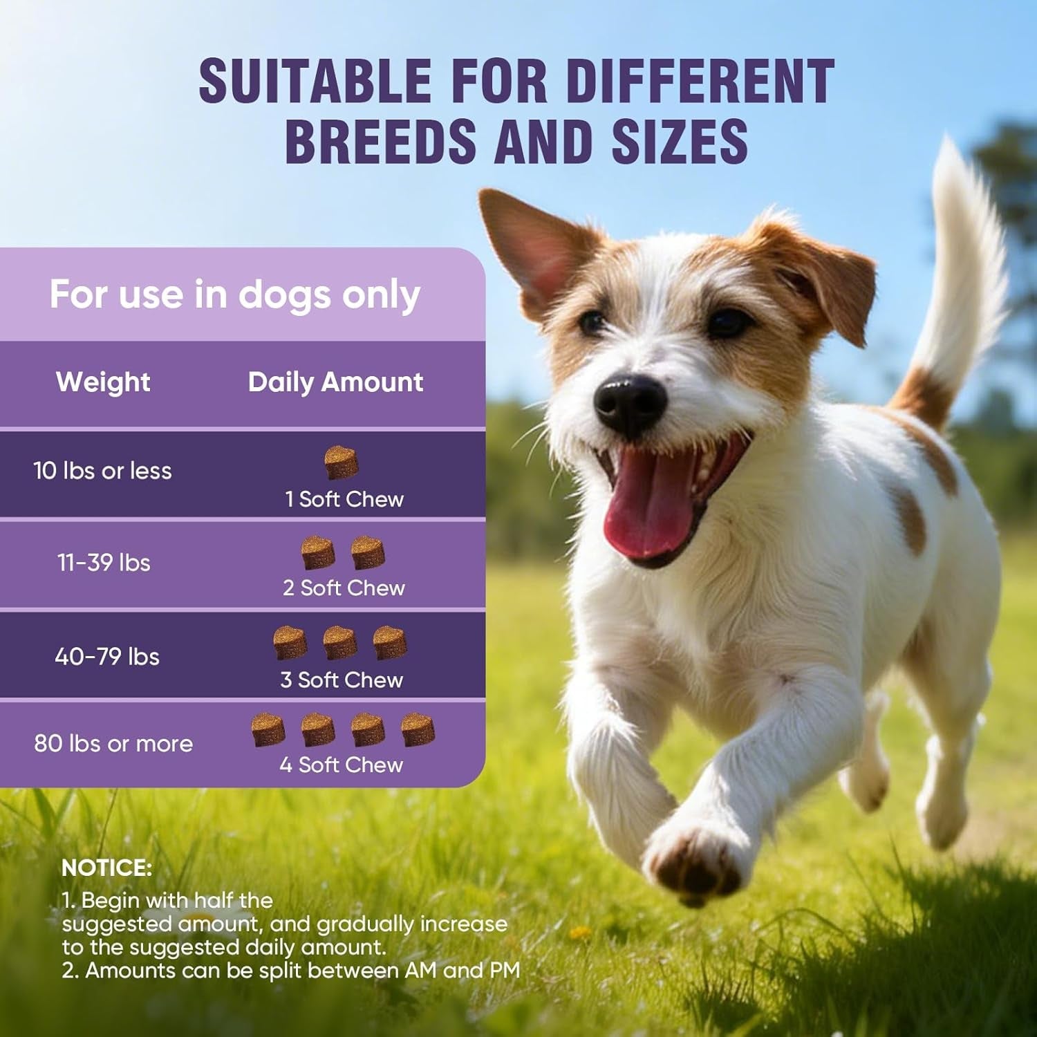 dog-allergy-chews-200ct-dog-allergy-and-itching-skin-relief-anti-itch-aller-immune-bites-for-dogs-licking-paws-treatment-relief-itchy-chew-probiotics-vitamins-for-skin-and-coat-allergies-lamb-probiotics-vitamins-bites-for-dogs-licking-paws-anti-itch-treatments-to-soothe-allergies-support-healthy-coat-health