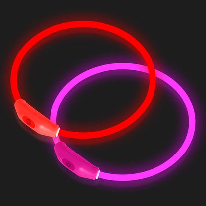 2-Pack LED Dog Collar, Light up Dog Collars,Rechargeable Dog Lights for Night Walking，Universal, Reusable Safety Necklace for Small Medium Large Dogs Red&Pink1