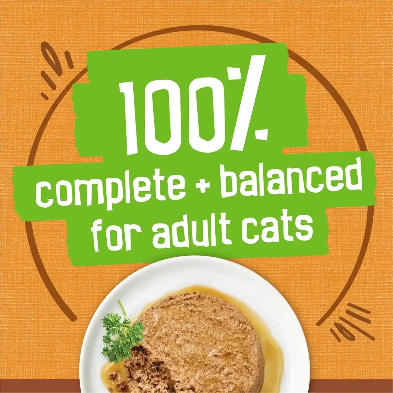 purina-friskies-gravy-pate-wet-cat-food-extra-gravy-pate-with-chicken-in-savory-pack-of-24-5-5-oz-cans