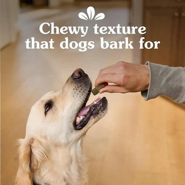 Greenies Anytime Bites Dog Treats, Blueberry Flavor, 10.3 Oz | Only 13 Calories per Treat, Easy to Digest, Natural Ingredients plus Vitamins & Minerals, Made in USA Facilities6