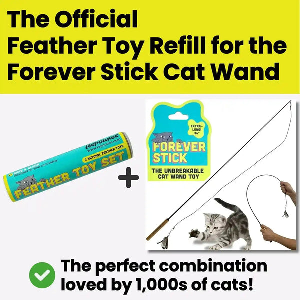 Cat Feather Toy Refill 3-Pack - Natural Feather Cat Toy - Small Size Cat Wand Attachments - Official Cat Toy Feather Replacement for Forever Stick Cat Wand Toy - Cat Wand Refill - Cat Lure and Teaser8
