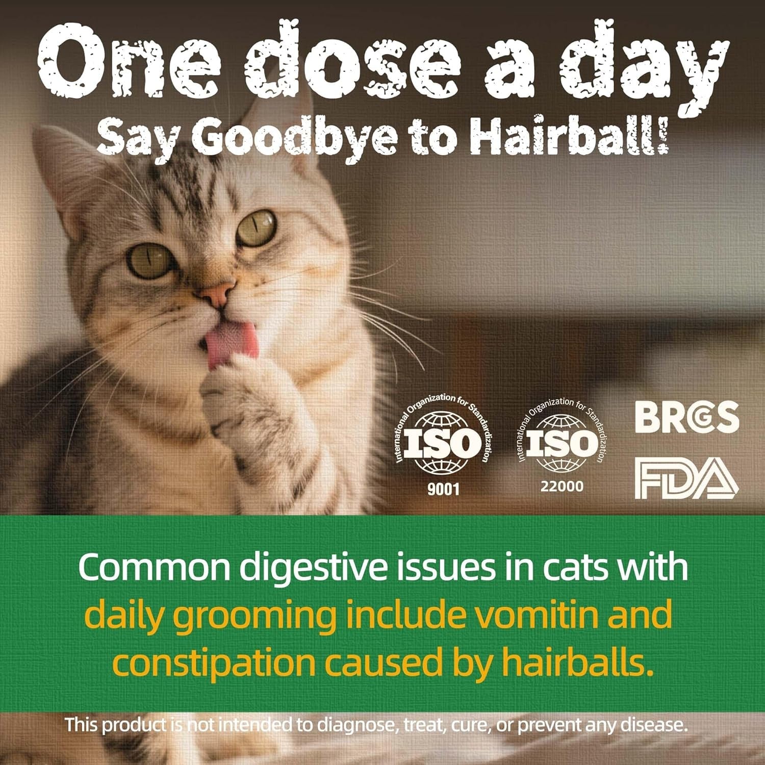 just-try-cat-treats-for-indoor-cats-hairball-control-natural-salmon-healthy-cat-grass-treats-kitten-snacks-training-biscuits-catnip-for-cats-dental-care-13-4-oz