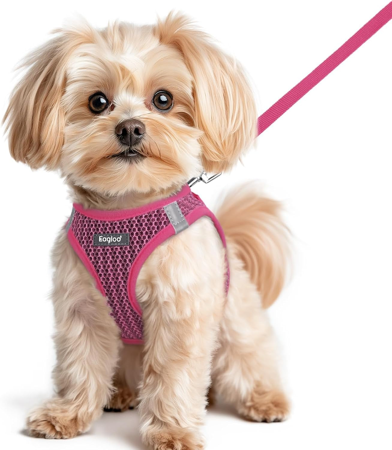 eagloo-small-dog-harness-and-leash-set-step-in-small-sized-puppy-pet-vest-light-soft-breathable-air-mesh-easy-on-and-off-with-hook-loop-reflective-for-safe-walking-pink-s