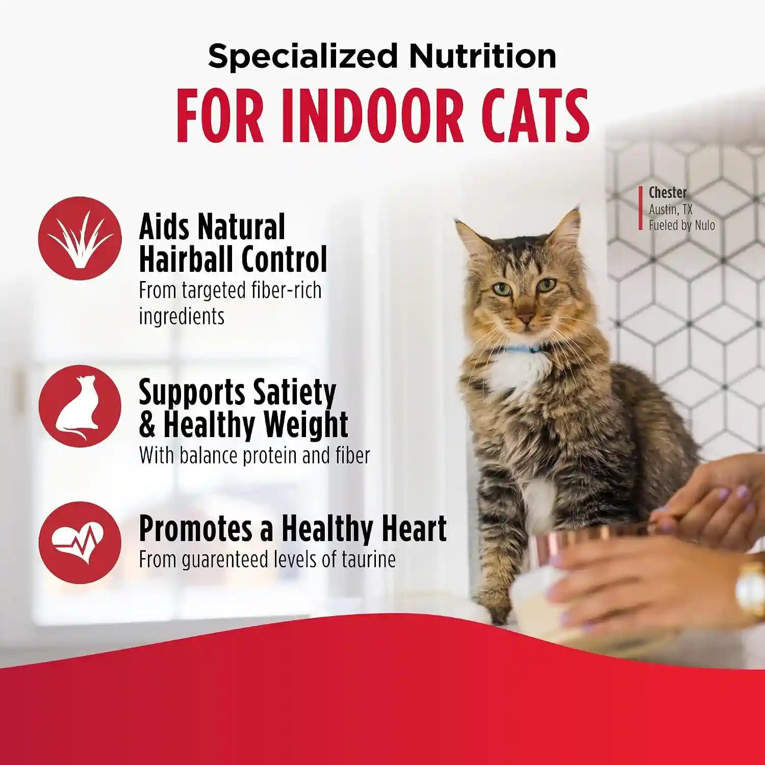 nulo-freestyle-dry-cat-food-indoor-duck-cod-high-protein-grain-free-dry-cat-food-natural-kibble-with-probiotics-and-omegas-fatty-acids-4lb-bag