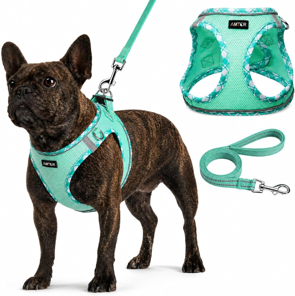 amtor-small-dog-harness-with-leash-set-no-escape-easy-walk-puppy-harnesses-for-training-walking-step-in-reflective-soft-dogs-vest-for-xs-s-medium-extra-small-large-sized-doggreen-s