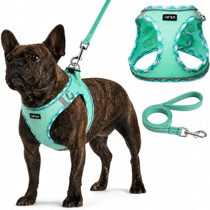 AMTOR Small Dog Harness with Leash Set, No Escape Easy Walk Puppy Harnesses for Training Walking, Step-In Reflective Soft Dogs Vest for XS S Medium Extra-Small Large Sized Dog(Green,S)1