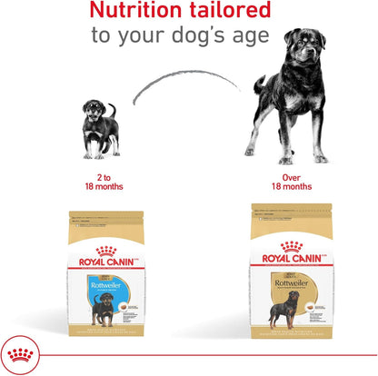 ROYAL CANIN Breed Health Nutrition Rottweiler Adult Dry Dog Food, 30 Lb Bag7