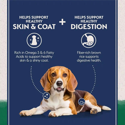Natural Balance Limited Ingredient Adult Dry Dog Food - Complete Nutrition for Adult Dogs - Wholesome Grains Brown Rice Recipe - Limited Ingredient Formula - 24 Lb - Lamb & Brown Rice3