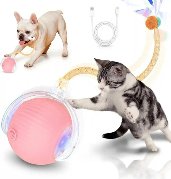 Cat Toys for Indoor Cats Smart Automatic Bal Moving Chase Dogs Toy, Red | Ball Rolling for Bored Kitten Pet, Upgraded Speedy Moving Chase Dogs Toy9