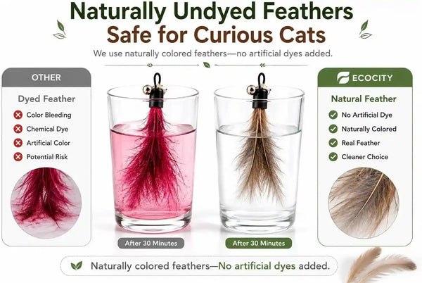 Cat Toys - No Chemical Dyeing Cat Feather Toys for Indoor Cats - Include Cat Wand and Natural Feather Refills2