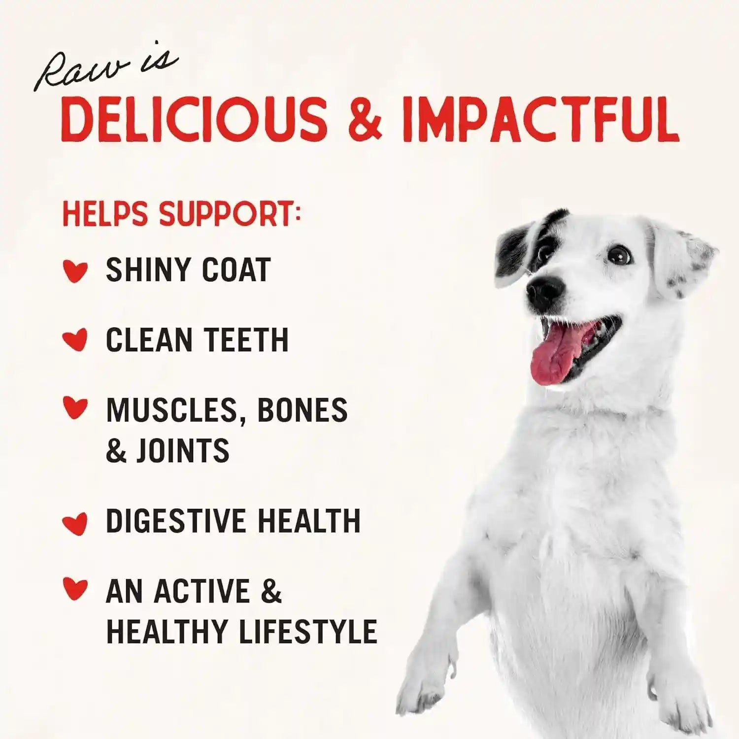 stella-chewys-freeze-dried-raw-chicken-heart-dog-treats-single-ingredient-no-additives-premium-training-treats-perfect-for-picky-eaters-11oz-bag