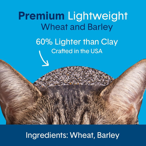 Boxie Unscented Lightweight Cat Litter 30 Day Odor Control Dust Free 6.5 Lb4
