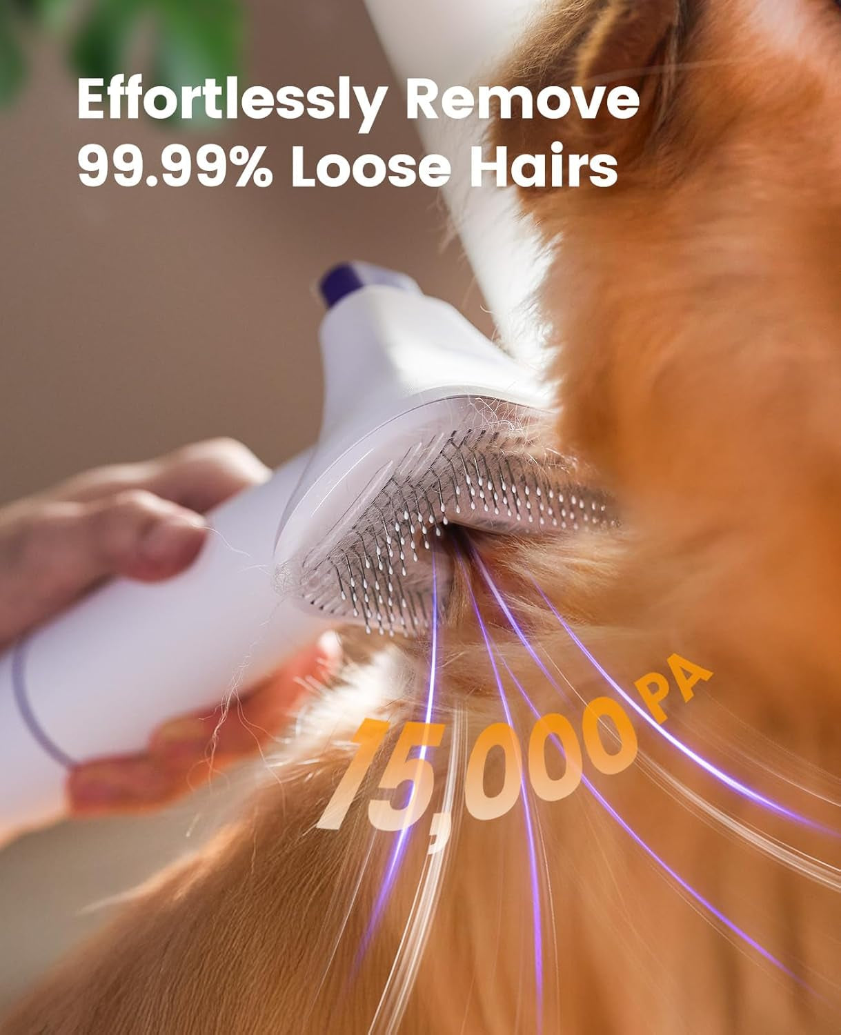 oneisall-dog-hair-vacuum-shedding-grooming-brush-kits-for-pet-thick-coats-15000pa-3-suction-low-noise-1-5l-dust-cup-5-in-1-kitsgrooming-deshedding-cleaning-brush-remover-roller-crevice-tool-lm5