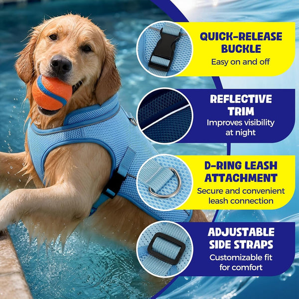 Dog Cooling Vest, Evaporative Cooling Dog Jacket with UV Protection, Lightweight Breathable Mesh Dog Cooling Shirt, Summer Heat Relief Gear with Adjustable Buckles for Hot Weather Walking & Hiking2
