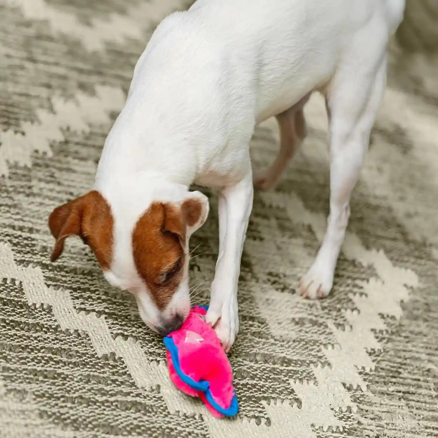 outward-hound-durablez-minis-squeaky-plush-dog-toy-no-stuffing-for-less-mess-interactive-tough-jumbo-squeaker-puppies-small-dogs-pig-6-8