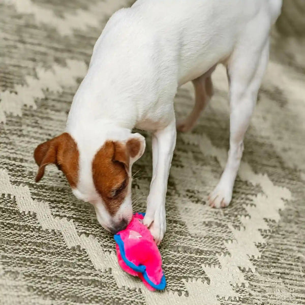 Outward Hound Durablez Minis – Squeaky Plush Dog Toy, No Stuffing for Less Mess, Interactive & Tough, Jumbo Squeaker, Puppies & Small Dogs, Pig, 6.8"5