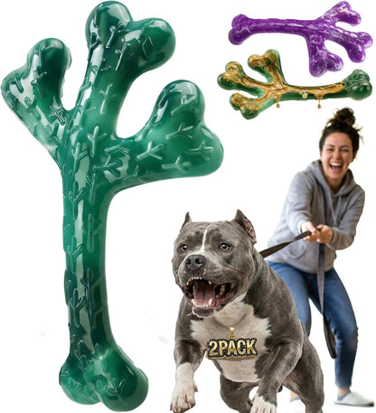 Frienhund 2-Pack Indestructible Dog Chew Toys for Aggressive Chewers | Textured Cactus with Grooves for Peanut Butter & Yogurt, Beef Nylon Bones for Large Dogs 20-90 Lbs, Easy Chew & Long Lasting1