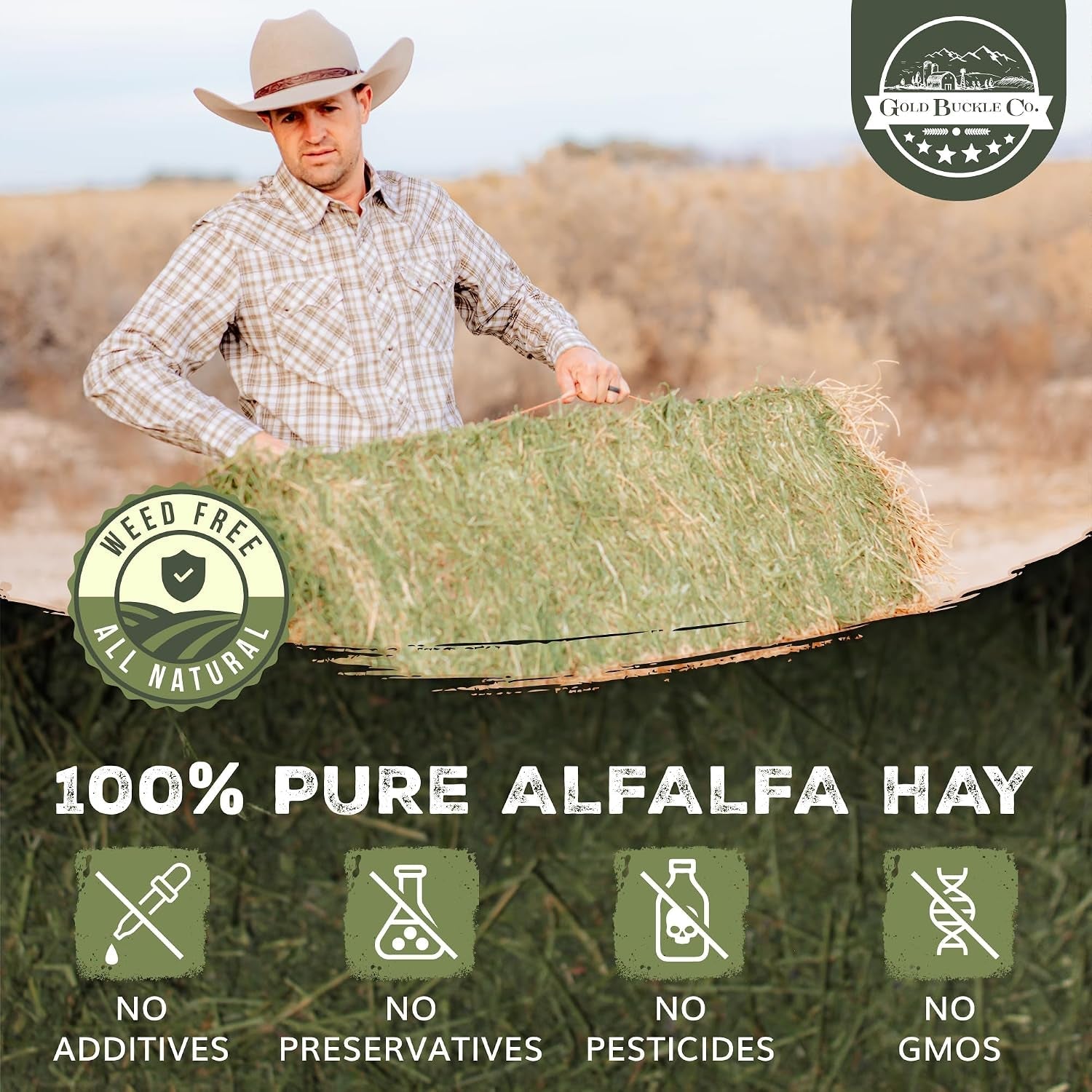 premium-alfalfa-hay-for-rabbits-guinea-pigs-all-natural-usa-grown-9lb-hay-for-guinea-pigs-chinchillas-hamsters-ferrets-farm-fresh-rich-in-protein-fiber-fresh-dried-hand-selected