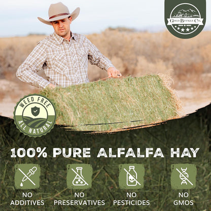 Premium Alfalfa Hay for Rabbits & Guinea Pigs - All Natural, USA Grown, 9Lb | Hay for Guinea Pigs, Chinchillas, Hamsters & Ferrets - Farm Fresh, Rich in Protein & Fiber, Fresh Dried, Hand-Selected4