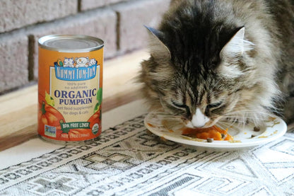 Nummy Tum Tum Organic Pumpkin Puree for Pets, 15 Oz (Pack of 12) | USA Grown Pumpkins, Supports Healthy Digestion for Cats & Dogs, Great for Food Toppers, Treats, & Recipes8