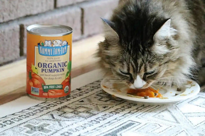 Nummy Tum Tum Organic Pumpkin for Dogs & Cats, 15 Ounce (Pack of 12) | USA Grown Pumpkins, Supports Healthy Digestion for Cats & Dogs, Great for Food Toppers, Treats, & Recipes8