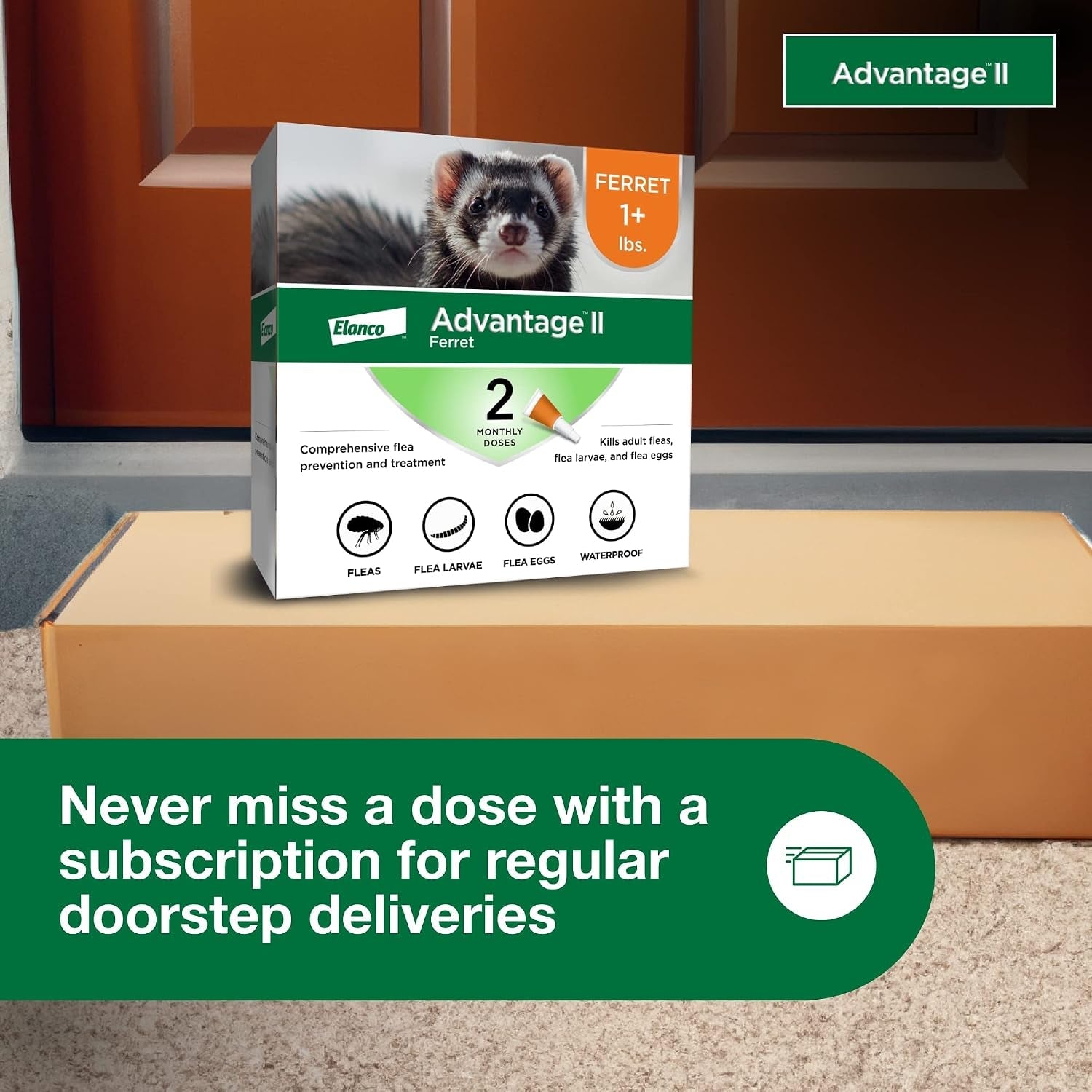 advantage-ii-ferret-vet-recommended-flea-treatment-prevention-ferret-1-lbs-2-month-supply