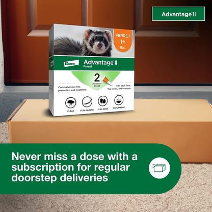 Advantage II Ferret Vet-Recommended Flea Treatment & Prevention | Ferret 1+ Lbs. | 2-Month Supply7