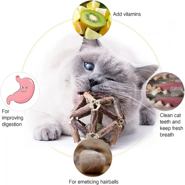 Gochanmon Catnip Toys-2Pcs Natural Silvervine Stick Catnip Ball&Bell Ball-Cat Toys for Indoor Cats- Cleaning Teeth Molar Tools Matatabi Cat Chew Toy-Kitten Toys All Breeds2