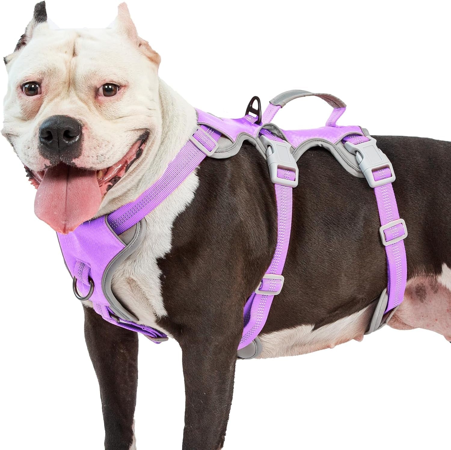 huntboo-escape-proof-dog-harness-escape-artist-harness-reflective-harness-with-padded-handle-breathable-durable-adjustable-vest-for-medium-dogs-walking-training-and-running-gear-blue-m