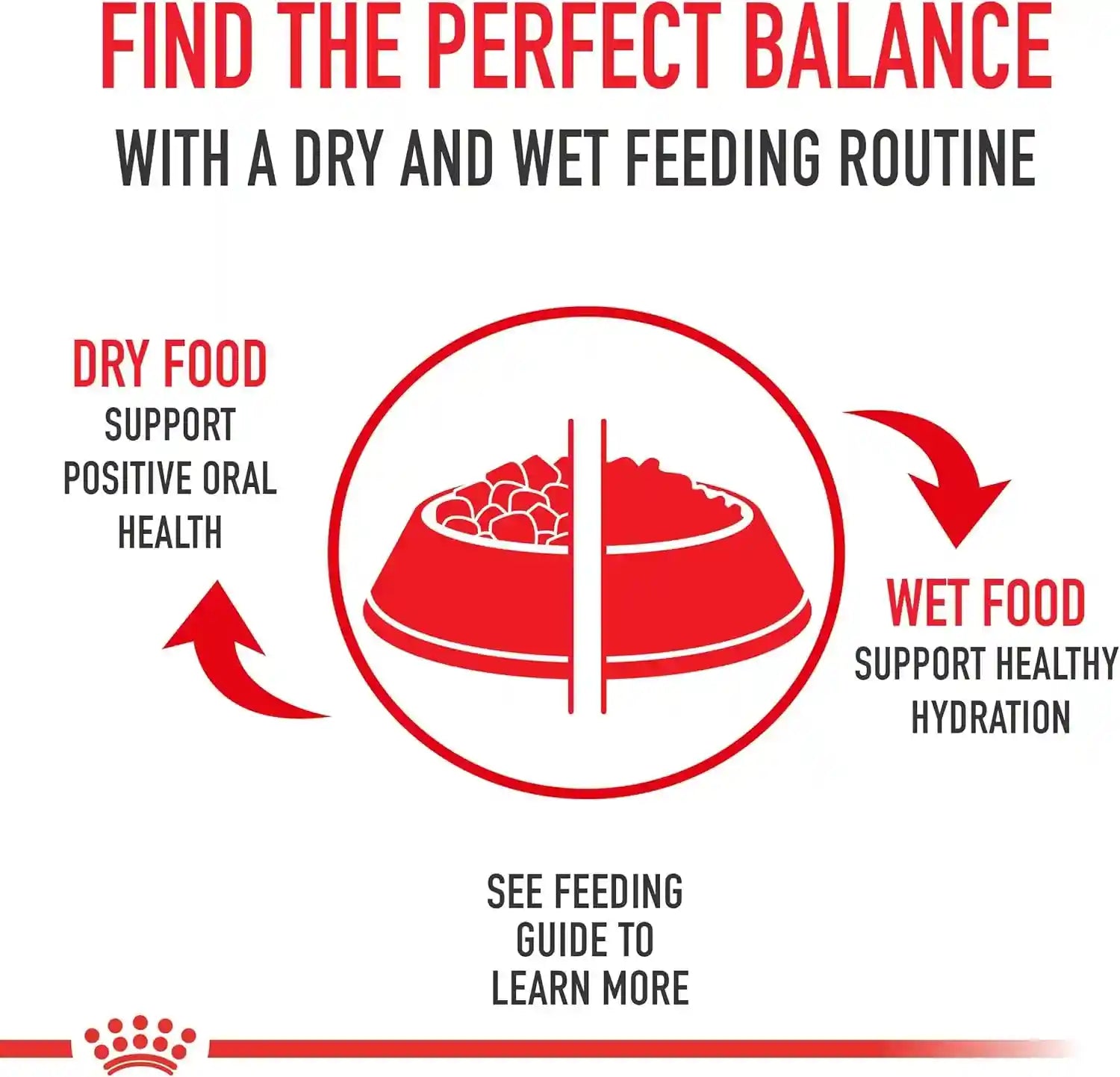 royal-canin-breed-health-nutrition-poodle-adult-loaf-in-sauce-dog-food-3-oz-pack-of-6