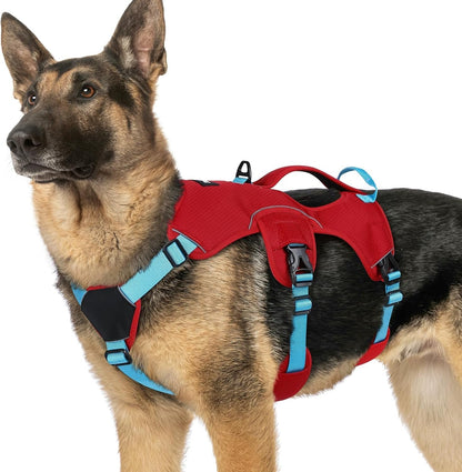 Rabbitgoo Escape Proof Dog Harness for Large, No Pull with Lift Handle | No Escape, Full Soft Padded, Reflective Adjustable Vest, Leash Clip for Walking Hiking Training, Black, Large19
