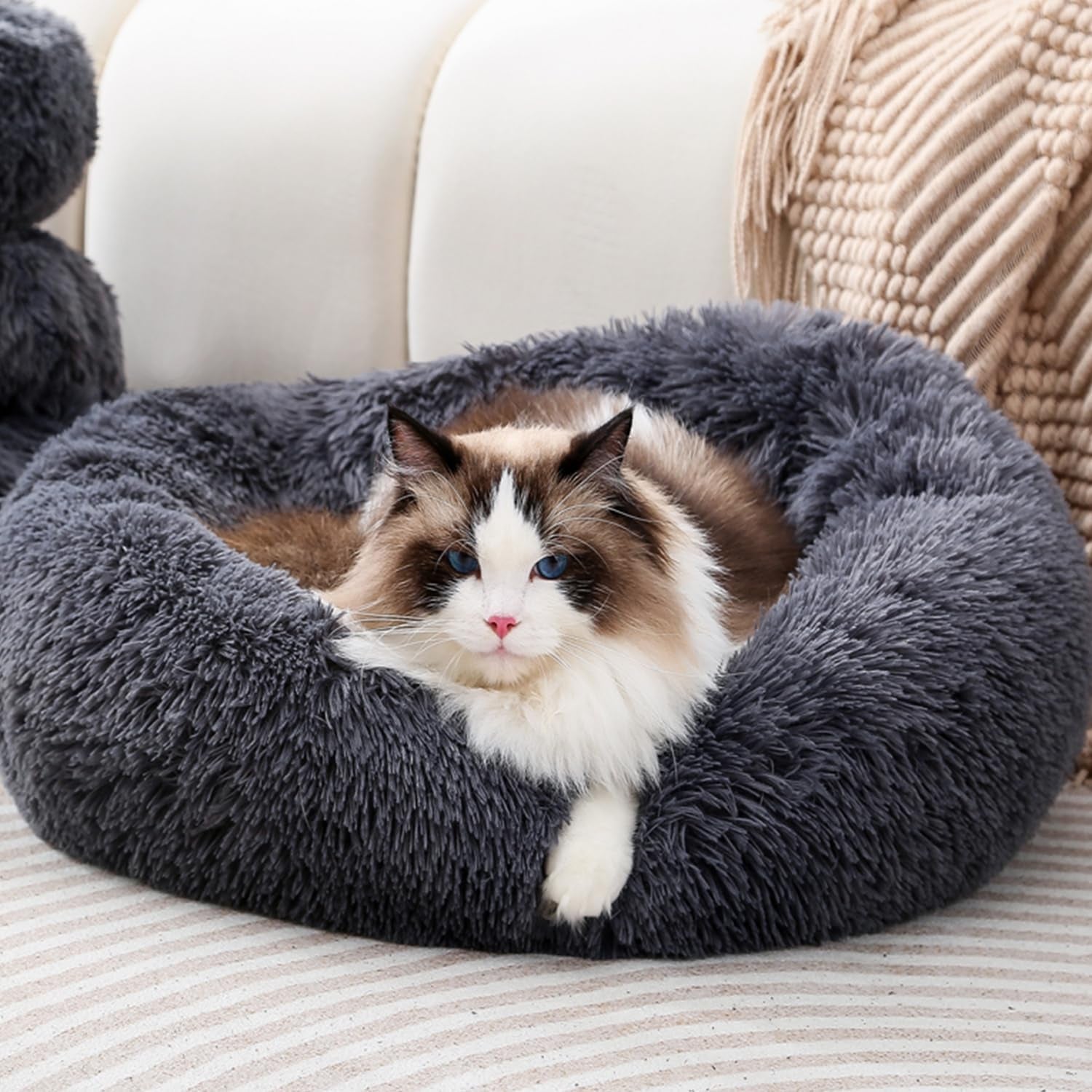 calming-donut-cat-bed-dog-bed-round-plush-pet-bed-fluffy-rabbit-cave-warm-dog-couch-non-slip-bottom-for-pets-furniture-up-to-5kg