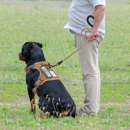 Beebiepet Heavy Duty Tactical Dog Harness for Small Dogs, No Pull Adjustable Pet Harness Reflective Service Training Easy Control Pet Vest Military K9 Working Dog Harnesses- Large, Brown3