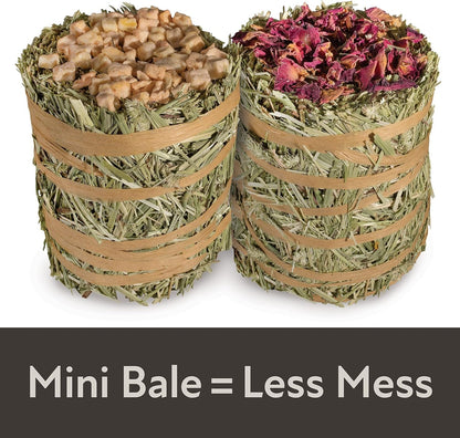 Kaytee Field+Forest Mini Hay Bales Apple and Rose 2 Pack 7 Ounces4
