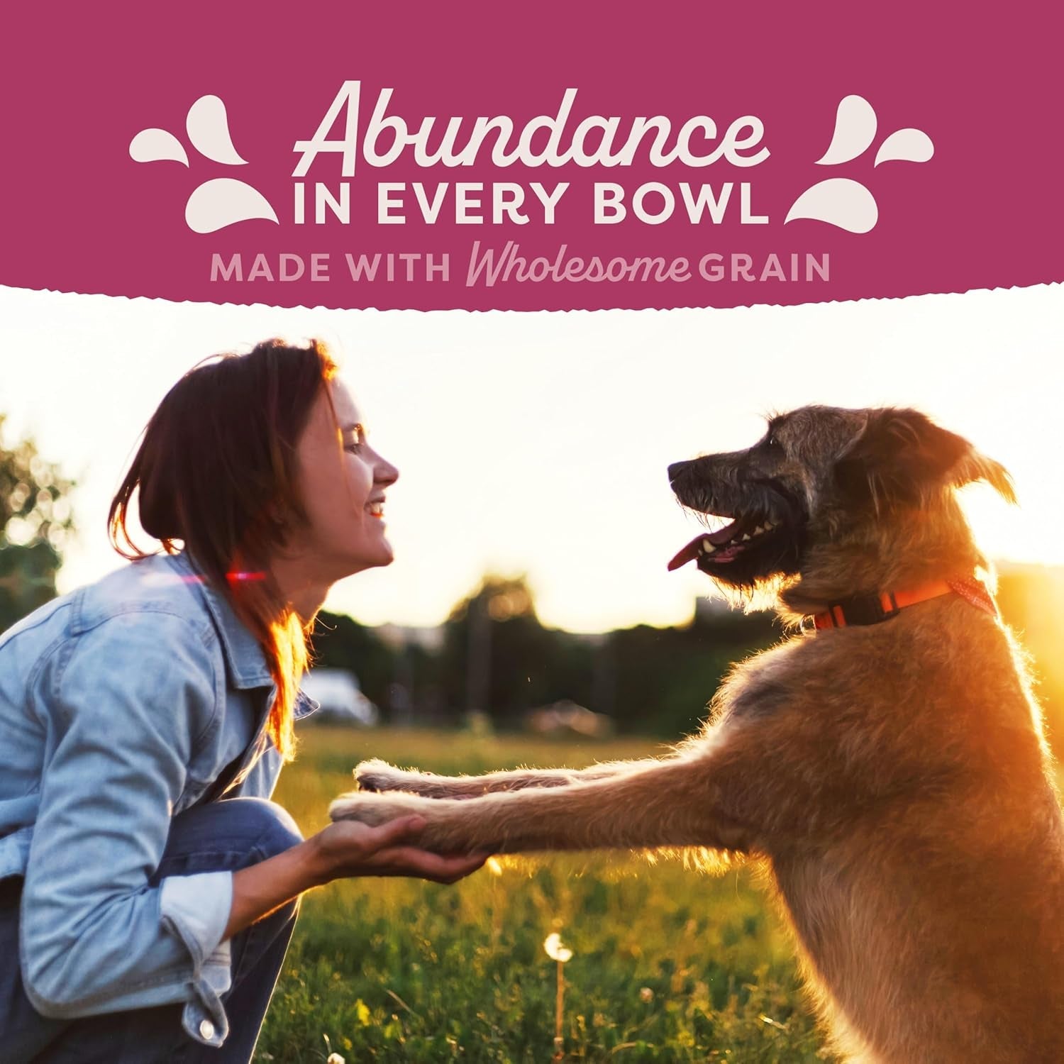 natural-balance-original-ultra-fat-dogs-chicken-meal-salmon-meal-barley-recipe-adult-dry-dog-food-24-lbs