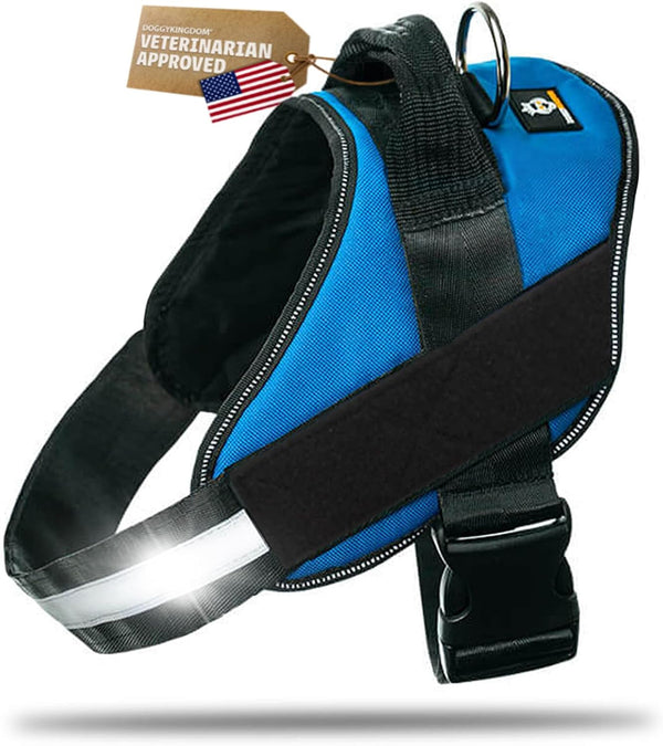 DOGGYKINGDOM No Choke Dog Harness with Handle and Patch Panels, Adjustable Reflective Dog Vest for Small Sized Dog, Blue, S1