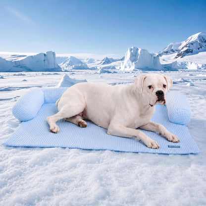 Spark Paws Cooling Couch Cover Dog Bed, Furniture Protector Mat, Non-Toxic Washable Pet Cooling Pad for Large & Small Dog - Hearts Blue - Size M8