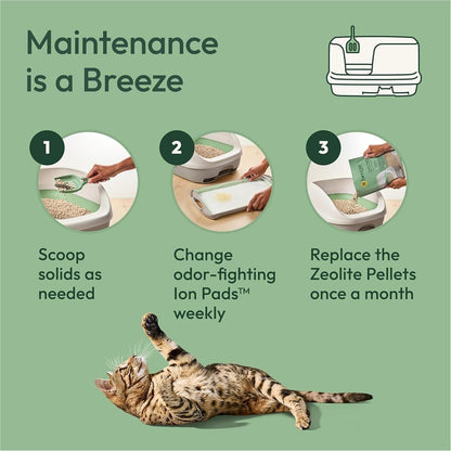 Purina Tidy Cats Cat Litter Breeze Pads Refill Pack Multi Cat Litter Pads - 8 Ct. Bag7