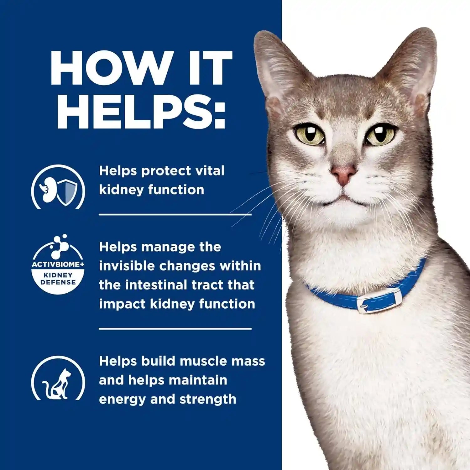 hills-prescription-diet-k-d-kidney-care-dry-cat-food-ocean-fish-4-lb-bag