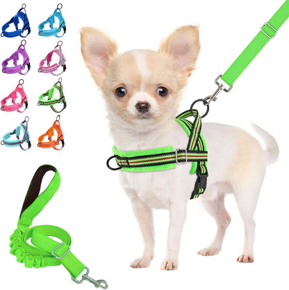 Lukovee No Pull Dog Harness and Leash Set, Soft Padded Small Dog Harness, Neck & Chest Adjustable Reflective Vest Puppy Harness with 4Ft Lightweight Anti-Twist Dog Leash for Small Dogs (XS, Blue)14