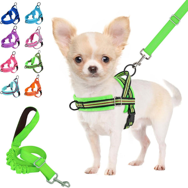Lukovee No Pull Dog Harness and Leash Set, Soft Padded Small Dog Harness, Neck & Chest Adjustable Reflective Vest Puppy Harness with 4Ft Lightweight Anti-Twist Dog Leash for Small Dogs (XS, Blue)14