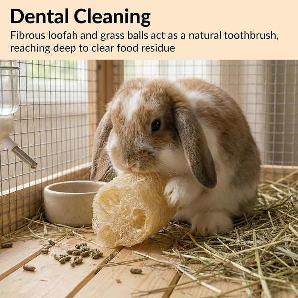 11 Pcs Rabbit Chew Toys, Interactive Bunny Foraging Toy, Natural Materials, Loofah Sponges, Seagrass Balls, Dental Cleaning, Relieve Stress3