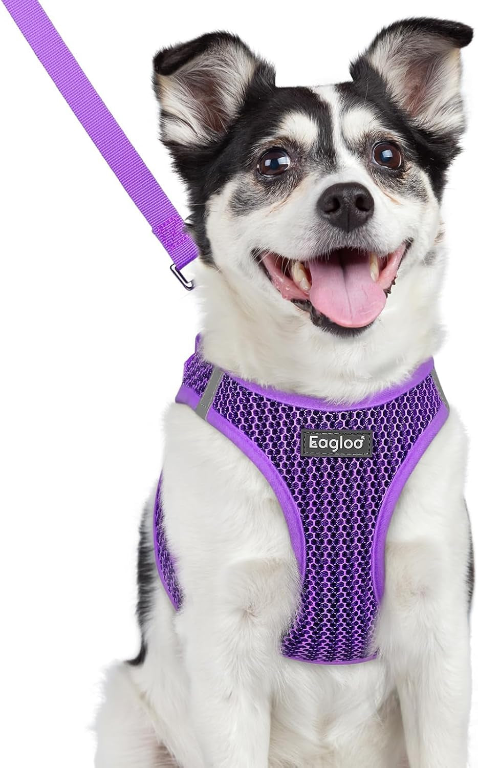 eagloo-small-dog-harness-and-leash-set-step-in-small-sized-puppy-pet-vest-light-soft-breathable-air-mesh-easy-on-and-off-with-hook-loop-reflective-for-safe-walking-pink-s