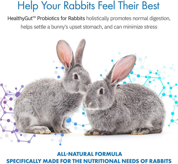 Healthygut Probiotics for Rabbits Dietary Supplement, All-Natural Digestive System Formula (120 Servings)2