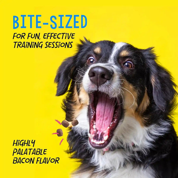 Crazy Dog Train-Me! Training Treats 16 Oz. Bag, Bacon Flavor, with 400 Treats per Bag, Recommended by Dog Trainers4